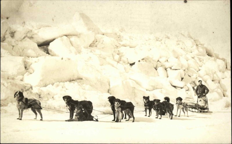 Dog Sled Team Alaska? c1910 Real Photo Postcard