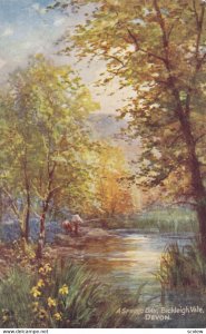 DEVON, England, 1900-10s; A spring Day, Bickleigh Vale; TUCK 7858