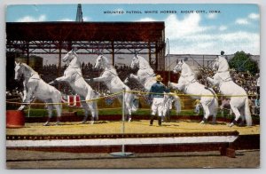 White Horse Mounted Patrol Sioux City IA Liberty High School Horses Postcard D25