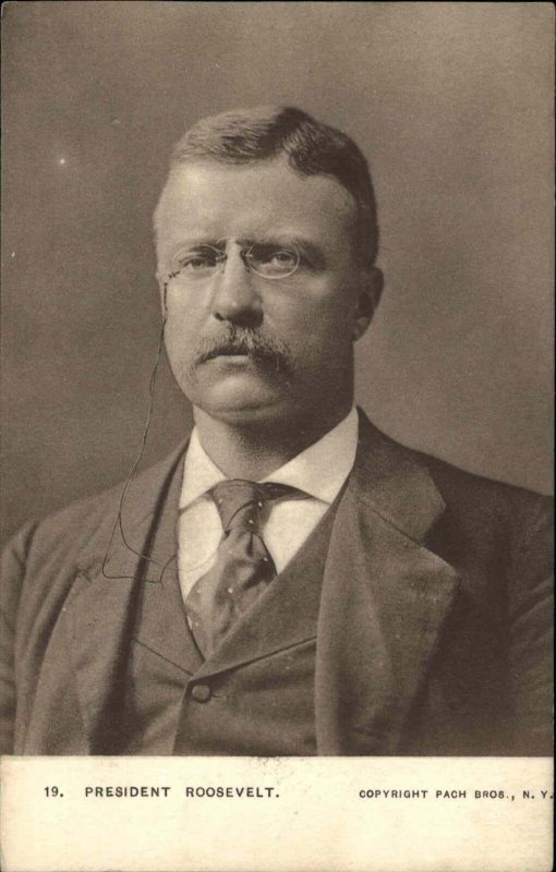 American President Theodore Teddy Roosevelt c1910 Vintage Postcard 