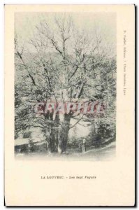 Old Postcard Louvesc Seven Fayars Tree