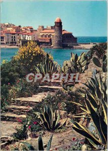 Modern Postcard Collioure Pyrenees Orientales jewel of the Catalan coast Echa...