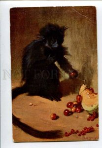 3078555 Black MONKEY as Gourmet by Tade STYKA vintage Color PC