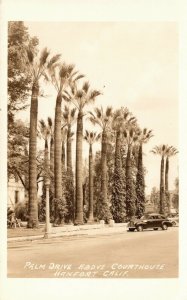 USA Palm Drive Above Courthouse Hanford California Vintage RPPC 09.00