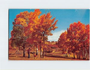 Postcard In the Fall of the year in Northern New Mexico