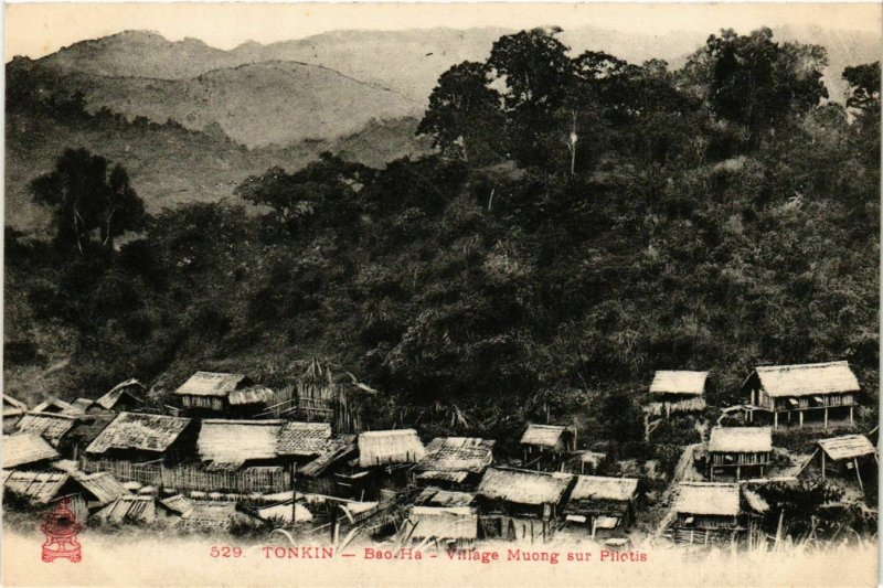 CPA AK INDOCHINA Tonkin Village Muong sur Pilotis VIETNAM (956854)