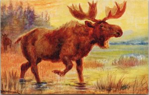 Moose in Rocky Mountains #3337 Tuck Norah Drummond Artist Unused Postcard G88