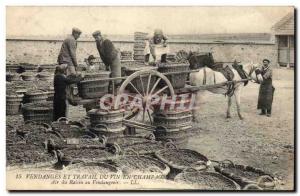 Old Postcard Folklore Vine Harvest Air Champagne grapes fermenting in TOP
