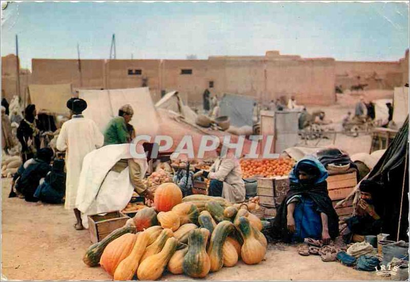 Modern Postcard Scenes et Types Guelmim Souk Day