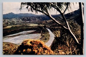 Honalei Valley In Hawaii Vintage Unposted  Postcard Wesco Spectratone Color Card