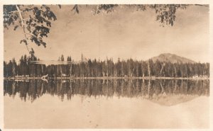 Vintage Postcard Forest Trees Mirroring Lake Scenic Picturesque Nature View RPPC