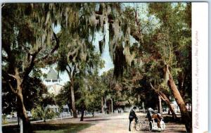 DAYTONA, Florida FL   Ridgewood Avenue and RIDGEWOOD HOTEL ca 1910s  Postcard