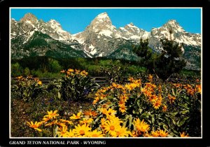 Wyoming Grand Teton National Park