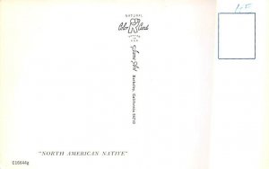 North American Native Unused 