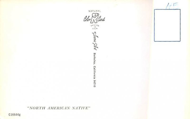 North American Native Unused 