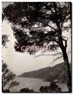 Modern Postcard La Cote D & # 39Azur Cavalaire Sur Mer Creeks Of a Porto