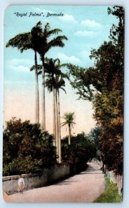 The Royal Palms BERMUDA Postcard