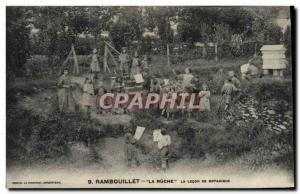 Old Postcard Rambouillet Hive The botany lesson