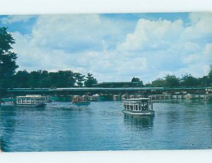 Pre-1980 SILVER SPRINGS SCENE Ocala Florida FL AF9810