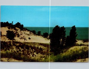 Indiana, Michigan City - Old Buried Forest Amid Shifting Sands - [IN-033]