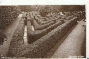 Middlesex Postcard - Hampton Court Palace - The Maze - Ref TZ10742