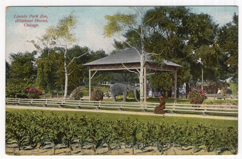 Chicago, Lincoln Park Zoo, ( Elephant House)