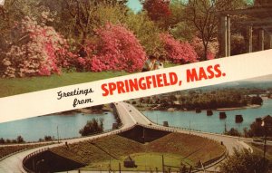 Postcard Greetings From Springfield Massachusetts Forest Park Flower Garden MA
