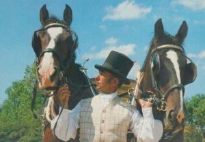 Morwellham Coachman Horse River Victorian Fashion Cottage Exhibit Devon Postcard