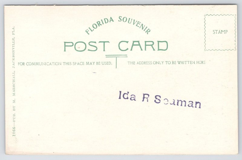 St Augustine Florida~New Opera House~Ponce de Leon Hotel~c1910 Postcard