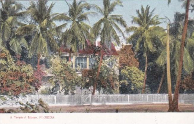 Palm Trees Surrounding A Tropical Homes In Florida