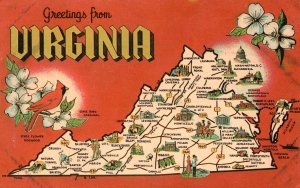 Vintage Postcard Greetings From Virginia Dogwood Cardinal Old Dominion VA Dexter