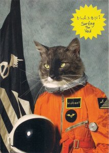 Space Cat, German Rack Card, Klaxon Rock Band, Astronaut Cosmonaut CONTINENTAL