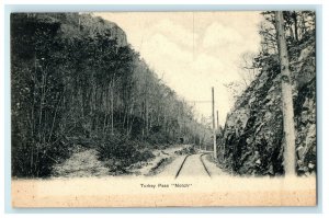 Turkey Pass Notch Train Railway Amherst Massachusetts MA Unposted Postcard