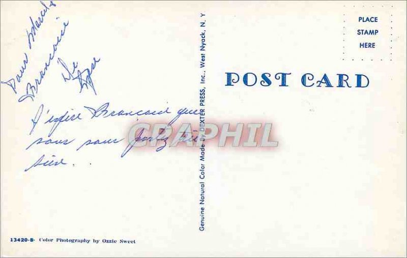 Modern Postcard On Stand Hunting