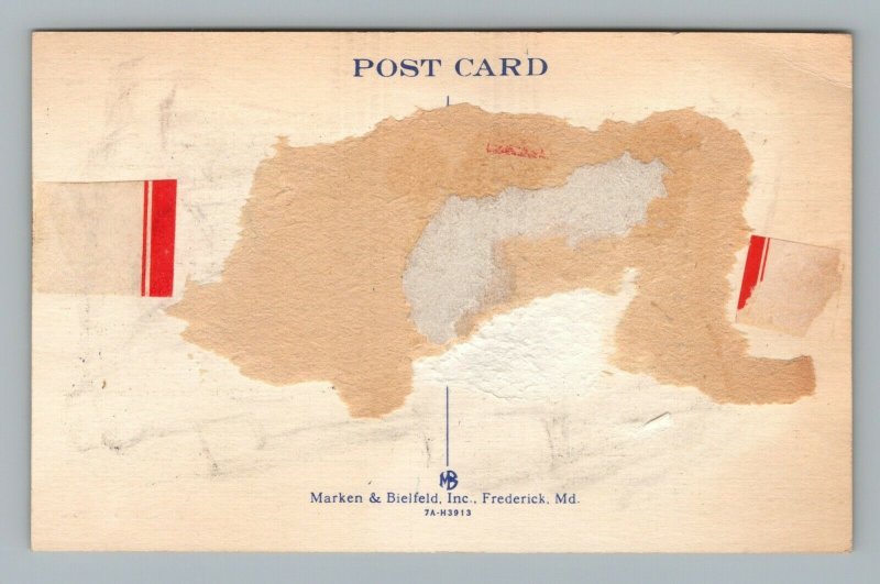 SKYLINE DRIVE- VIRGINIA Decalcomania Da Viaggio Stile Vintage