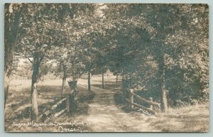 Oregon IL~Birch Branch Fence on Path to Laughlin Summer Home RPPC 1910 CR Childs
