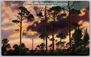 Vtg Florida FL Sunset AS Seen Through Caribbean Pines 1940s View Old Postcard