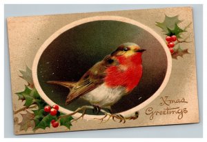 Vintage 1920 Christmas Postcard Cute Red Bird Mistletoe Holly Berries