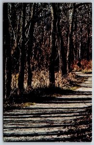 Diamond MO~Nature Trail @ George Washington Carver Monument~Vintage Postcard