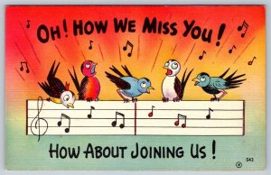 Oh! How We Miss You! How About Joining Us! Songbirds, 1953 Linen Postcard