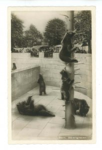 Switzerland - Bern. The Barengraben (Bear Pit)   RPPC