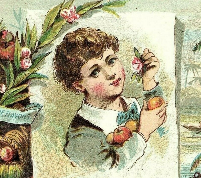 1870's-80's W. Knapp Bastine & Co. Pure Flavoring Extracts Cute Child Fruit P151 