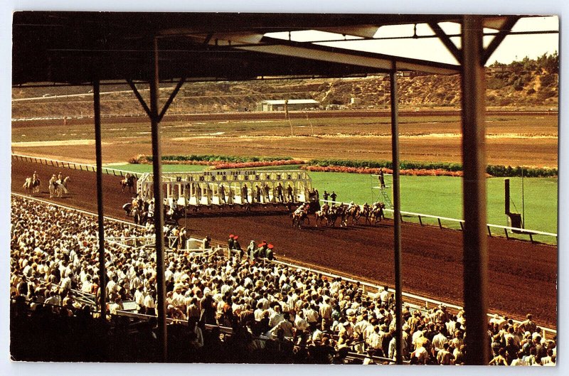 Del Mar Turf Club Thoroughbreds horse Race Racetrack Postcard