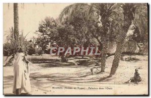 Old Postcard Morocco Palms In & # 39Oasis