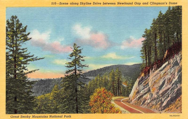 TN, Tennessee SKYLINE DRIVE Newfound Gap-CLINGMAN'S DOME North Carolina Postcard