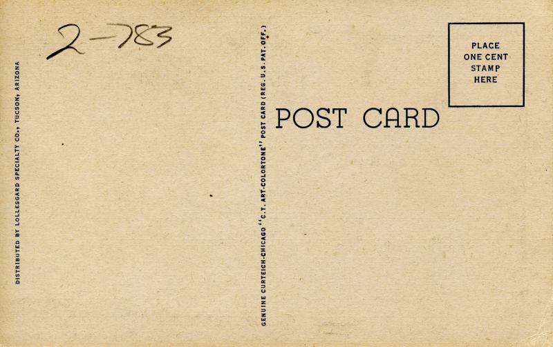 Rattlesnake Killing a Rabbit.   