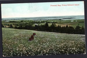 PEI Prince Edward Island POWNALL BAY Pub Valentine & Sons' pm1910 ~ DB