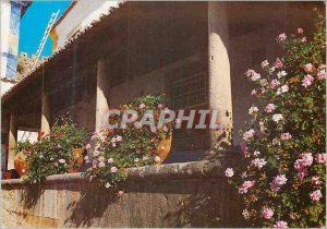 Postcard Modern Obidos Portugal Balconies in Bloom