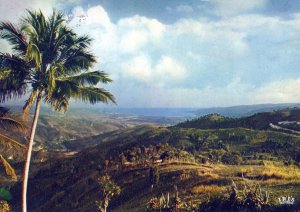 VINTAGE CONTINENTAL SIZE POSTCARD HAITIAN LANDSCAPE OVER JACMEL ROAD