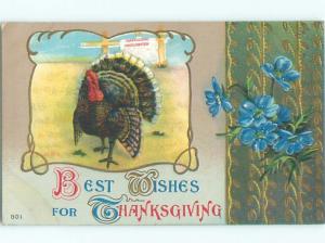 Divided-Back THANKSGIVING SCENE Great Postcard AA0564